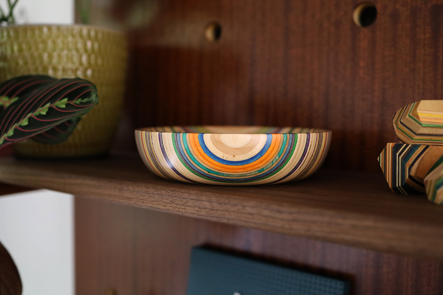 SKATEBOARD ART BOWL