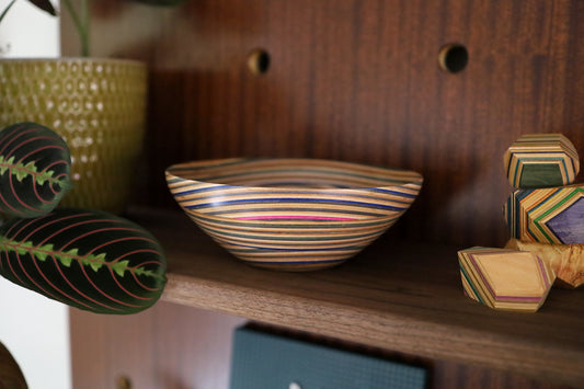 'WAVE' SKATEBOARD BOWL