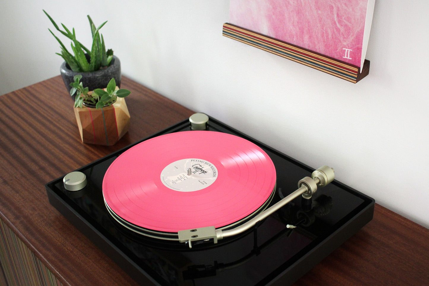 VINYL RECORD DISPLAY SHELF