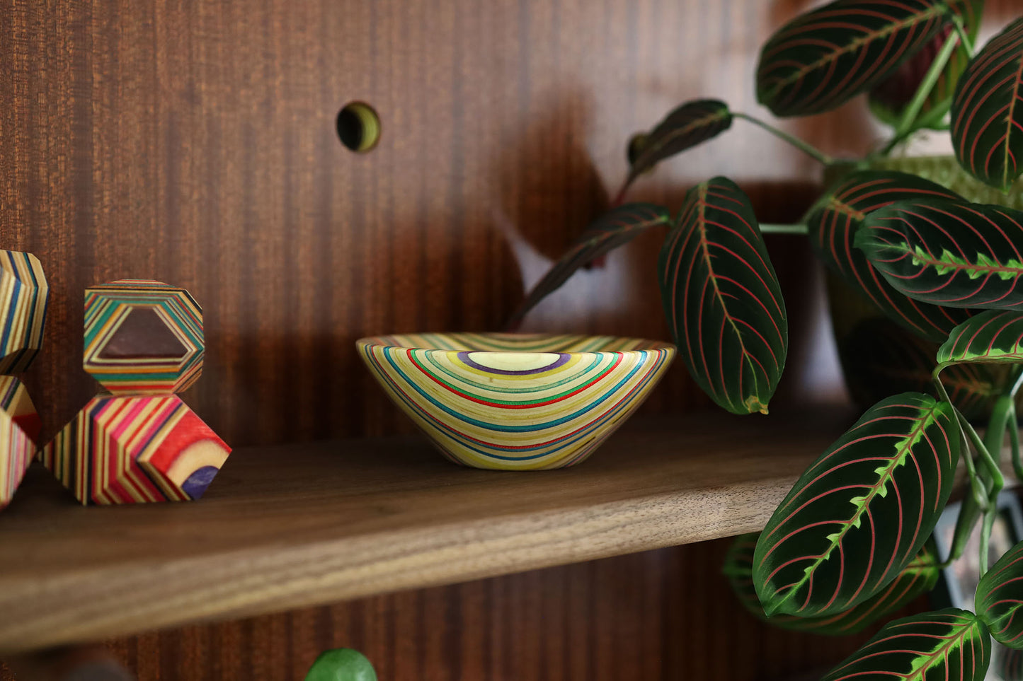 SMALL SKATEBOARD ART BOWL